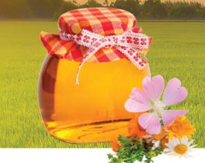 Мёд оптом и в розницу от производителя по Казахстану, фасованный и весовой