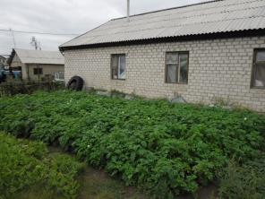 Обменяю дом в пригороде г Павлодар (Казахстан) на недвижимость в Новосибирске, Новосибирской области.