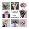 .Заказать цветы онлайн Алматы.